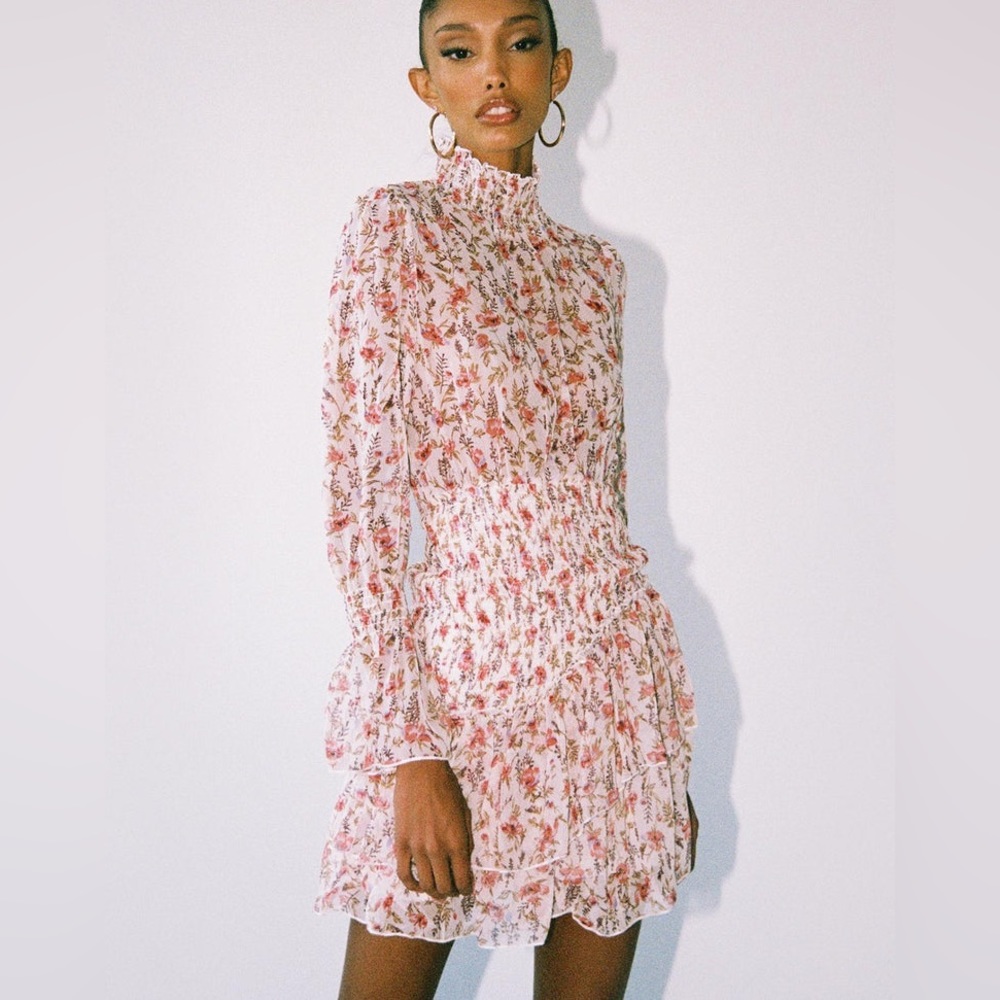 Princess Polly Guetta Mini Dress Pink Floral Size 10